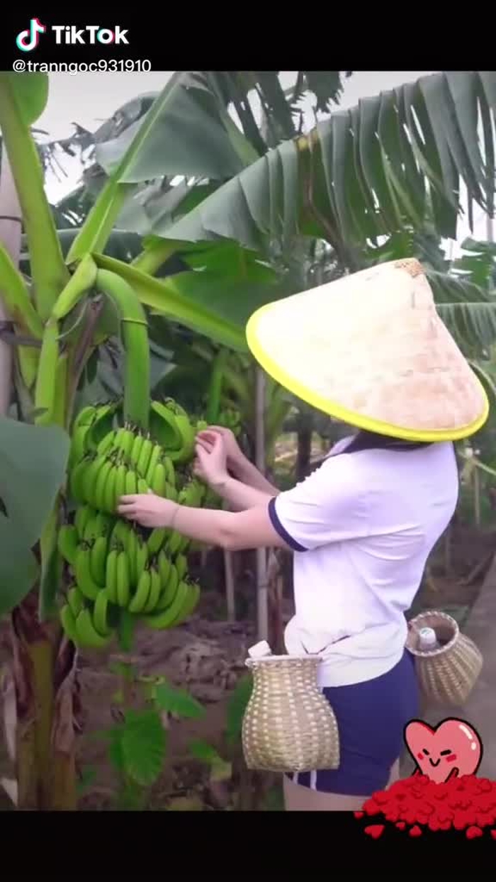 có chị nào ăn chuối không ? #giaitri #xuhuong #tiktok #TVSHOWHAY