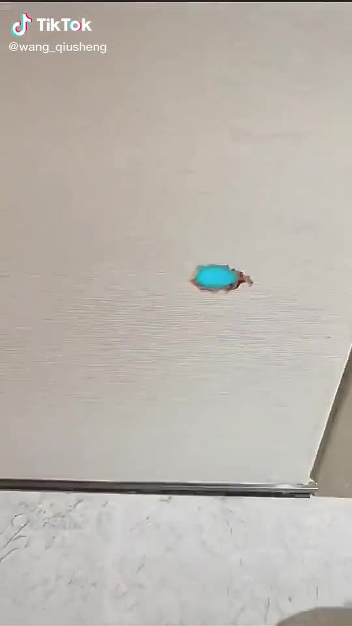 wang_qiusheng (@wang_qiusheng) on TikTok 19