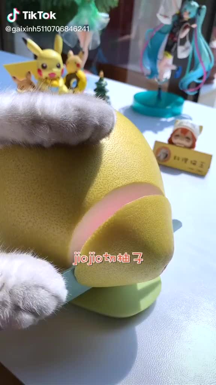 #FrisoBungTot