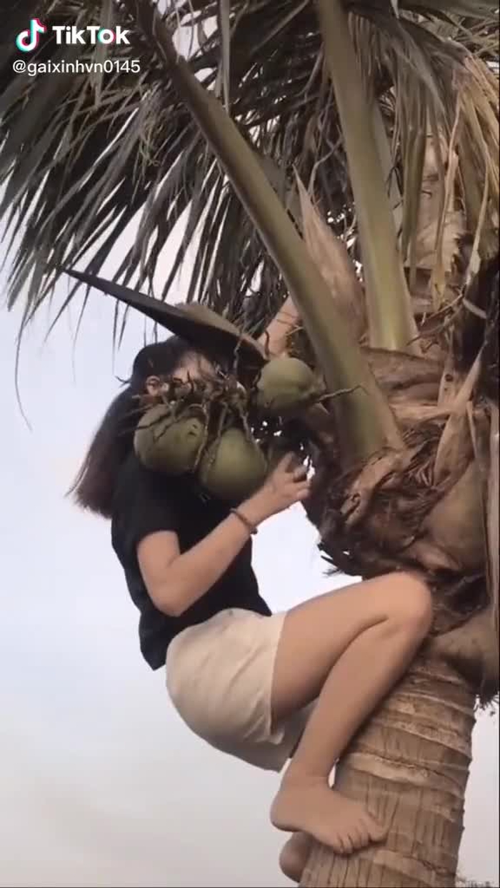 Cô gái hái dừa #gaixinhvn #gaixinhvn123
