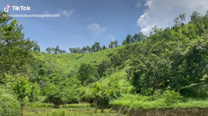 Bình yên thật sự
