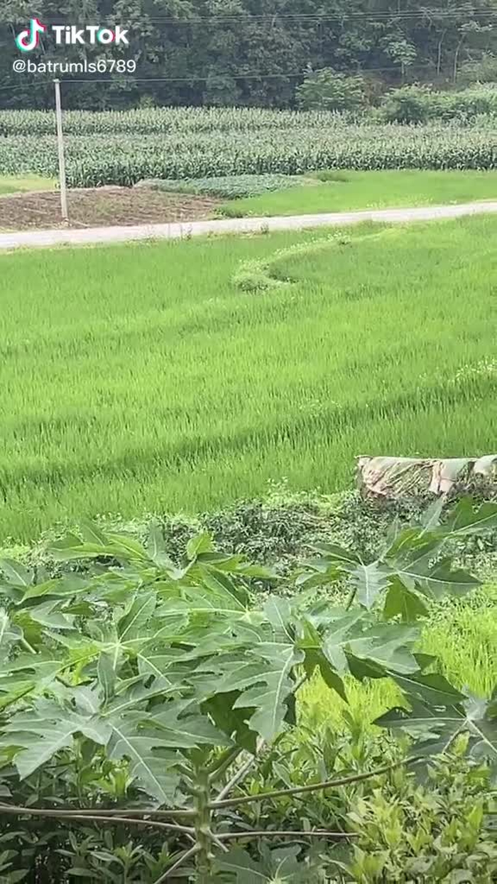 Bình yên đến lạ ❤️