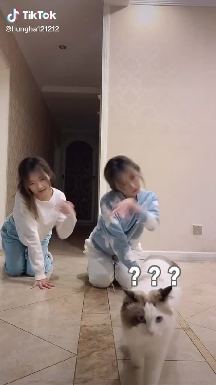 Cặp song sinh làm chúng ta phải bất ngờ#gáixinh #OpenDoorDance #xuhuong #gái_đẹp #gái