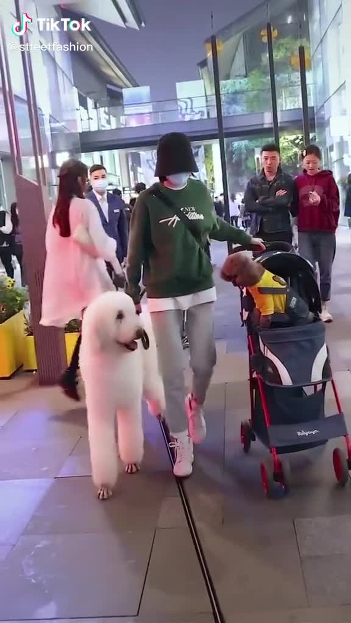 This is so cute