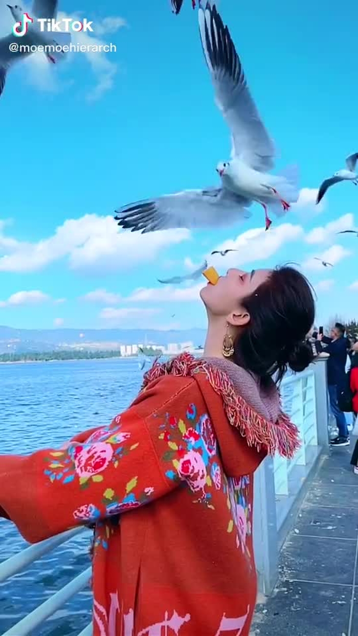 Today's beauty, to you#fyp #foryou #tiktok #goddess #butterfly