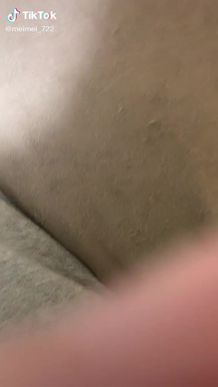 おもちゃのゾウさん連れこんで寝てた😂笑  #フェレット