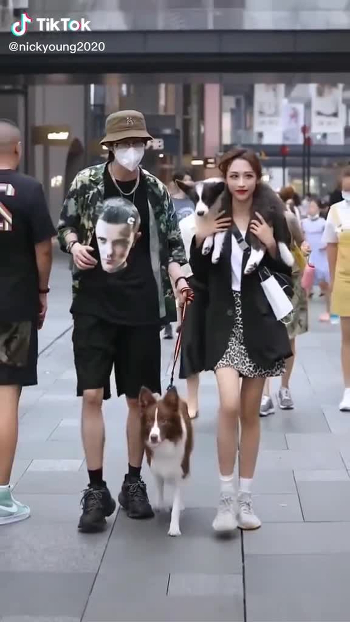 I see the dog as a scarf🐶