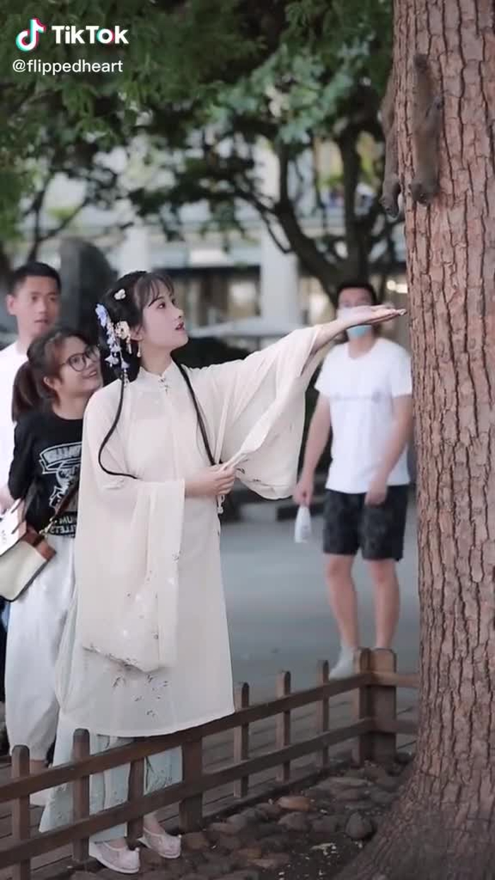 susanchen202020 (@flippedheart) on TikTok 10