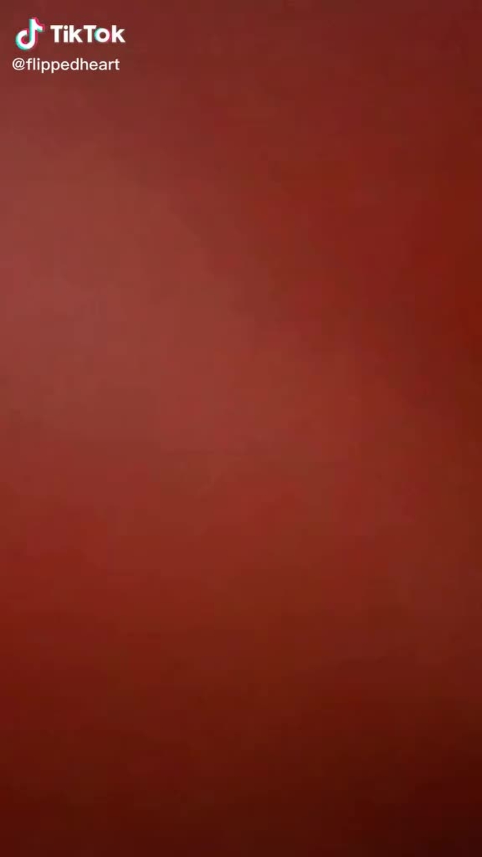 susanchen202020 (@flippedheart) on TikTok 11