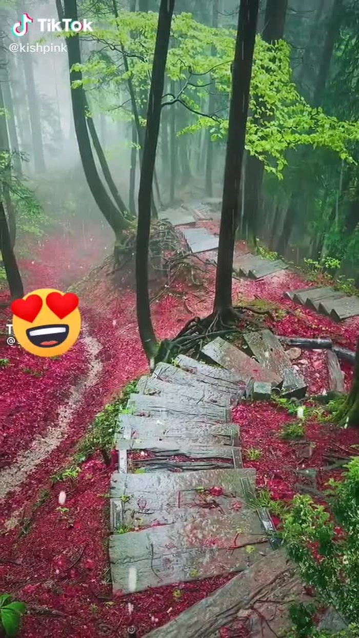 🥰🥰🥰😍😍