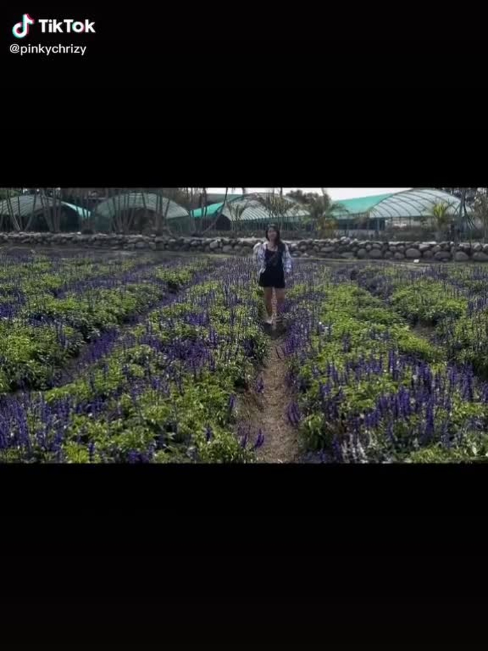 #foryoupage❤️❤️ #bisdak #houliflowerfarm🌻🌼🌷💛
