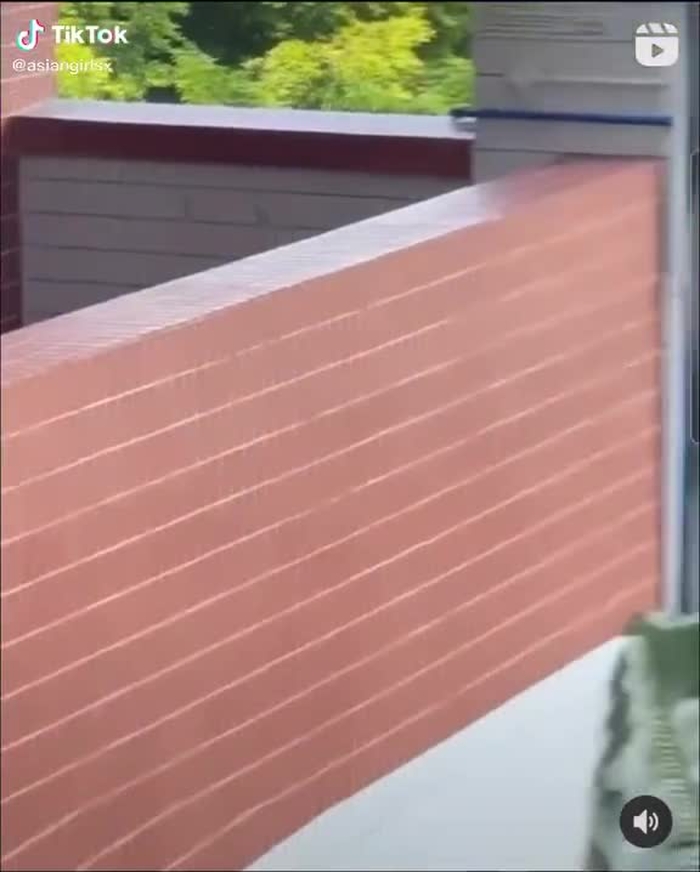 #asiantiktok 53