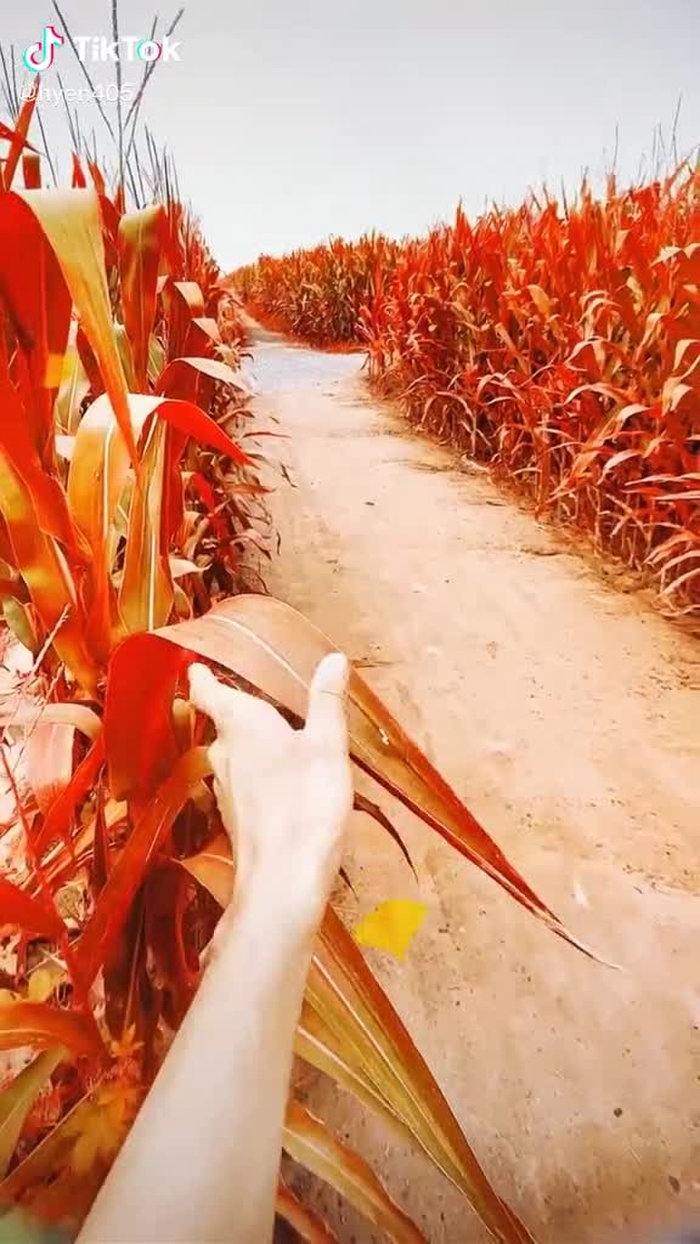 发个库存，证明下，我依然还是技术流……  #foryou #fypシ