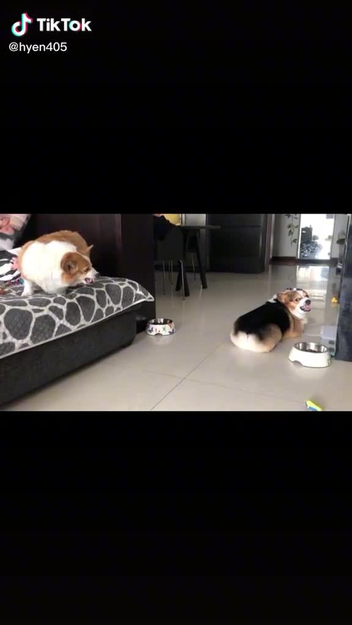 素材作者 忍一时越想越气，退一步越想越亏！#foryou #funny