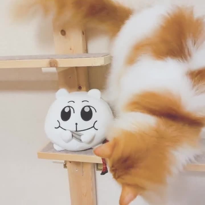 鳴上なごね 3