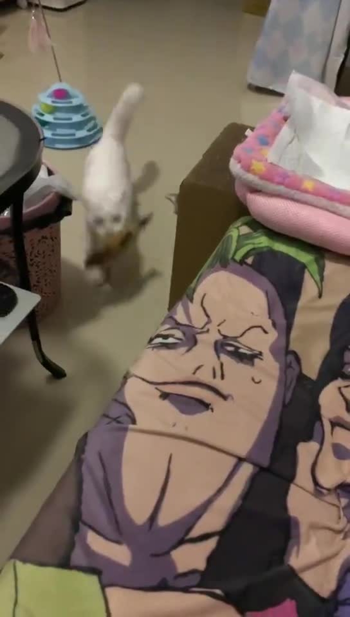 Kizami 20