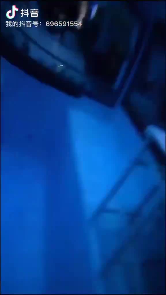 x叉魅 7