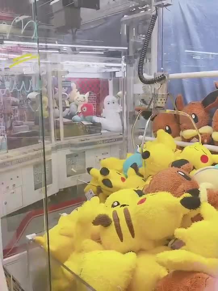 涼木ぴの 7