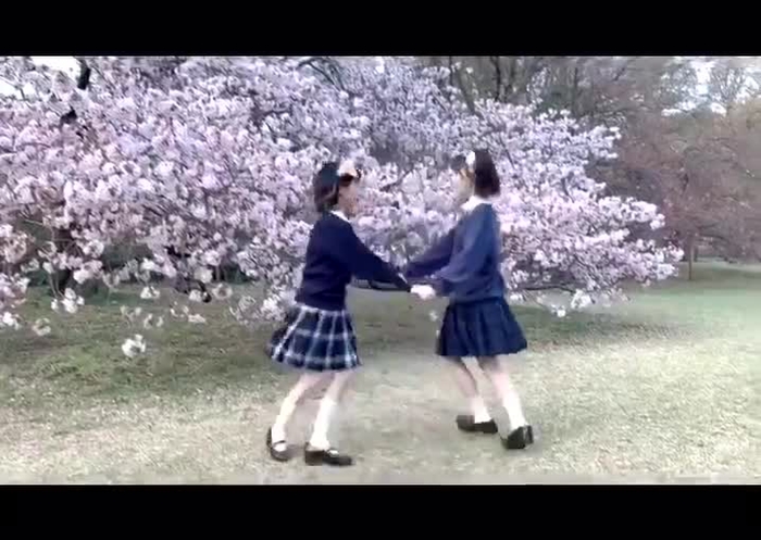 茶叶小果 1