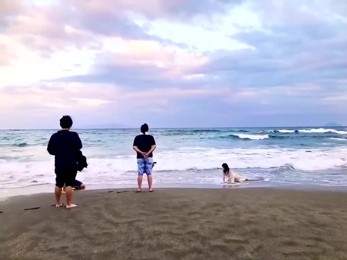 フミカ 8