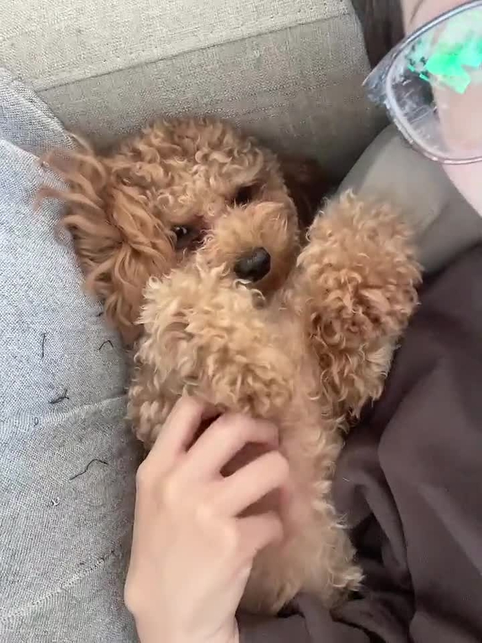 弥生みづき 1