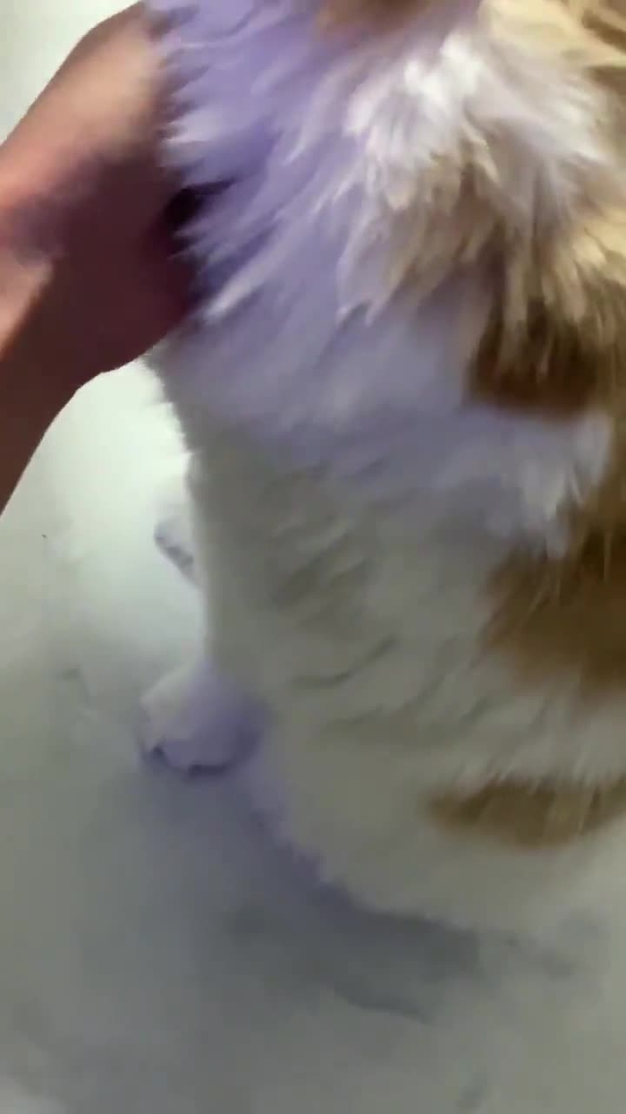 皆月ひかる 9