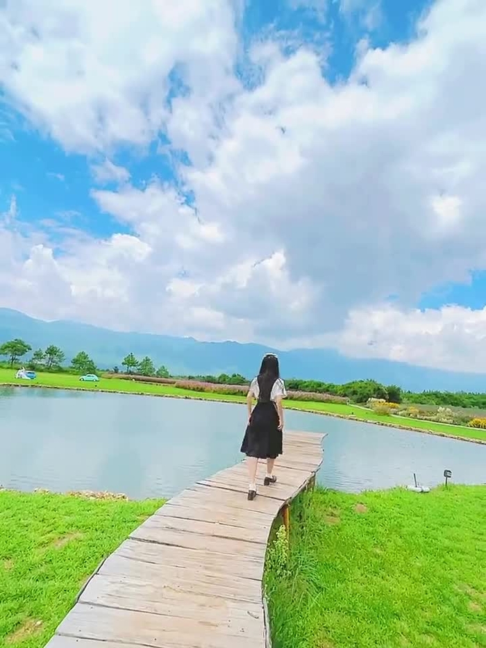 呆呆 3