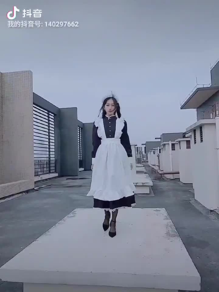 呆呆 51