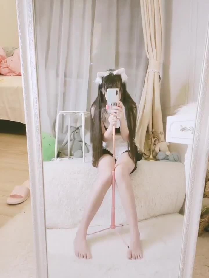 呆呆 100