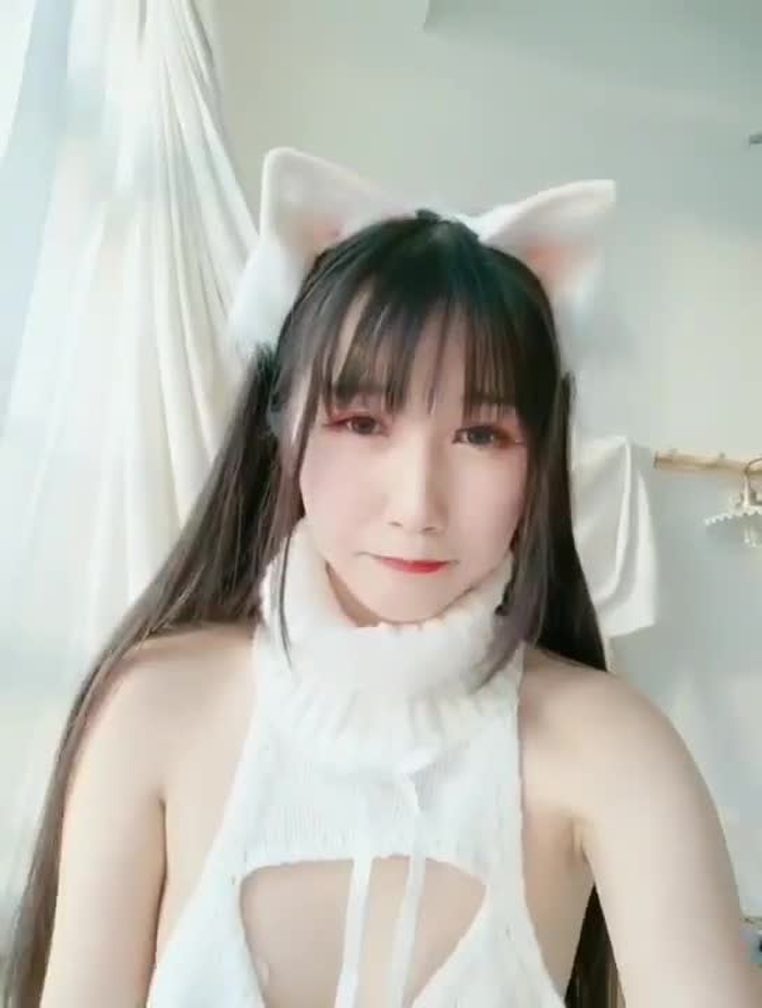 呆呆 105