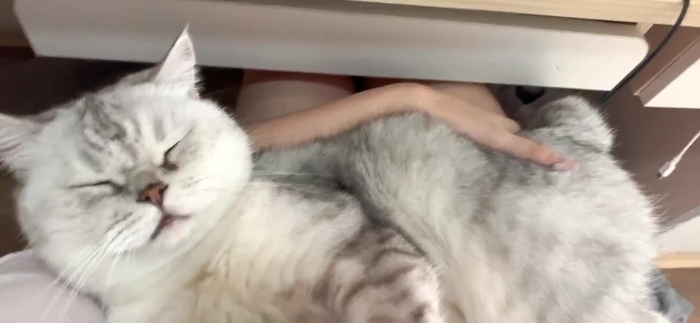 半半子 29