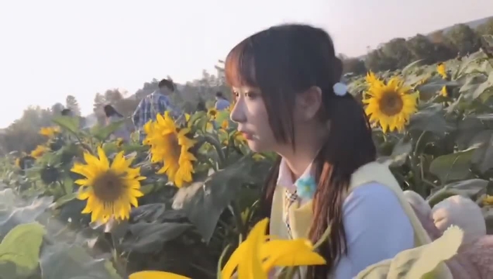 虎纹鲨雀 1