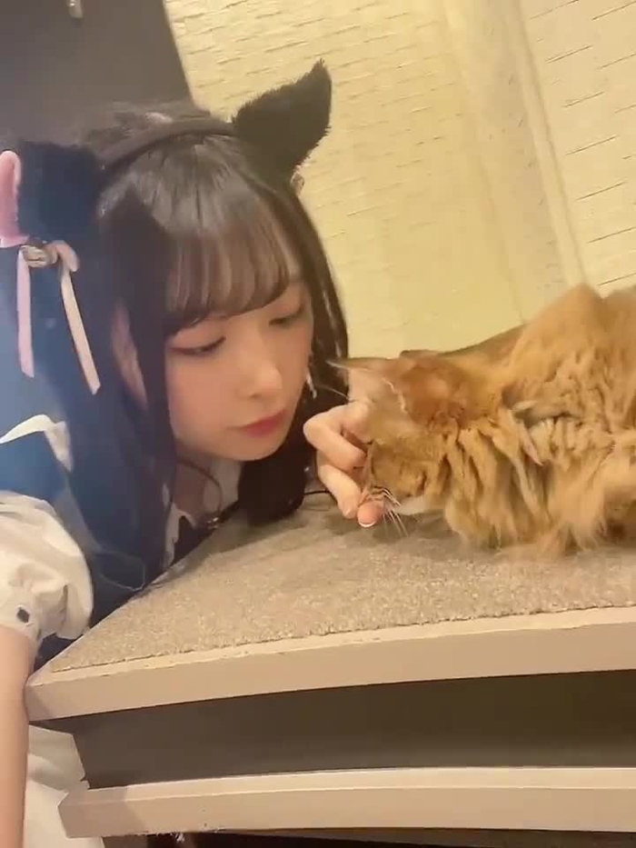 真島なおみ 26