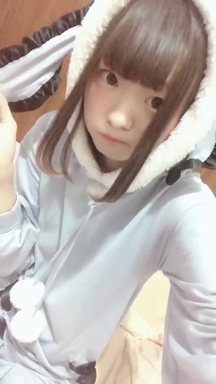 にゃんこ 3