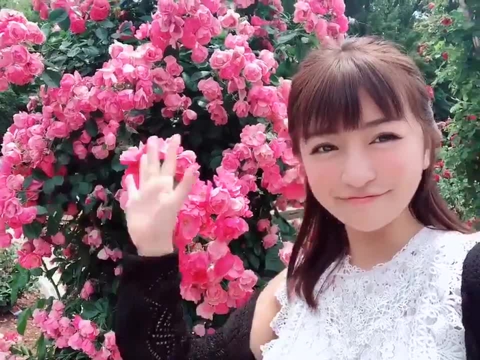 HOSHINO 29
