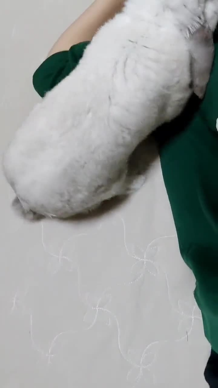 w a c o