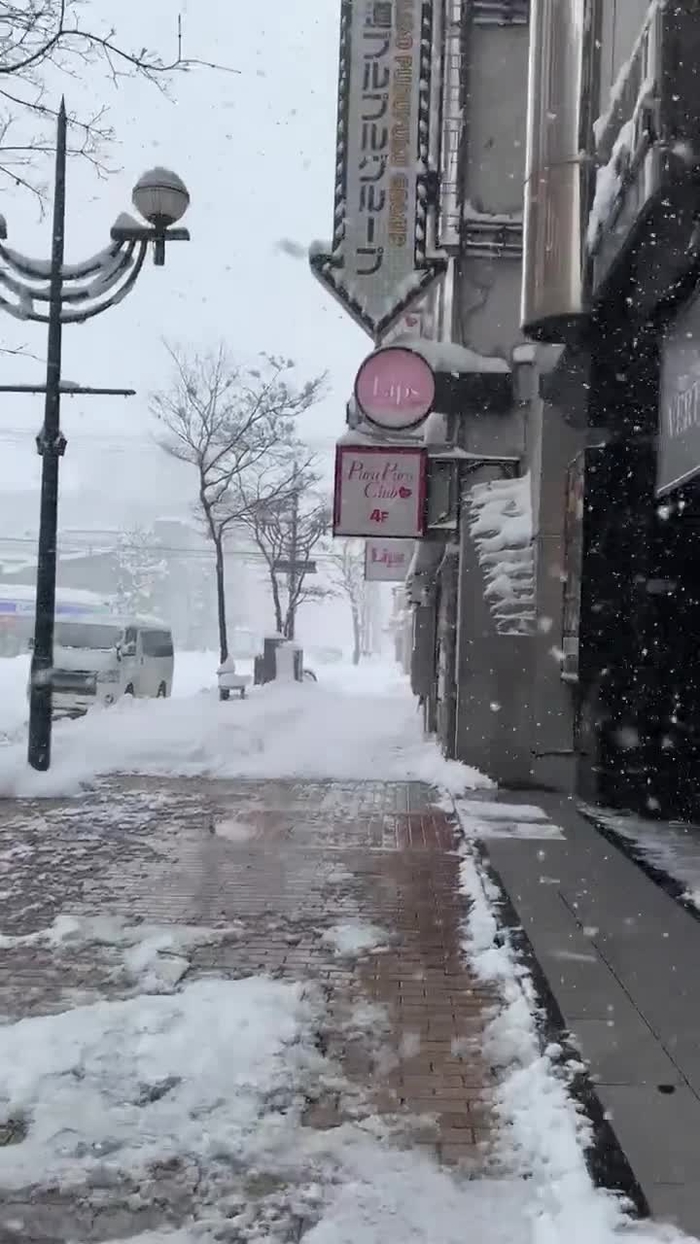 あおい🦦 2