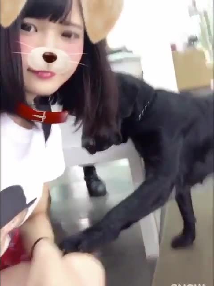 DJ MEL 🐶❤️ 180