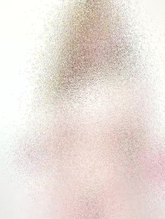 西村ニーナ 4