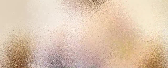 西村ニーナ 8