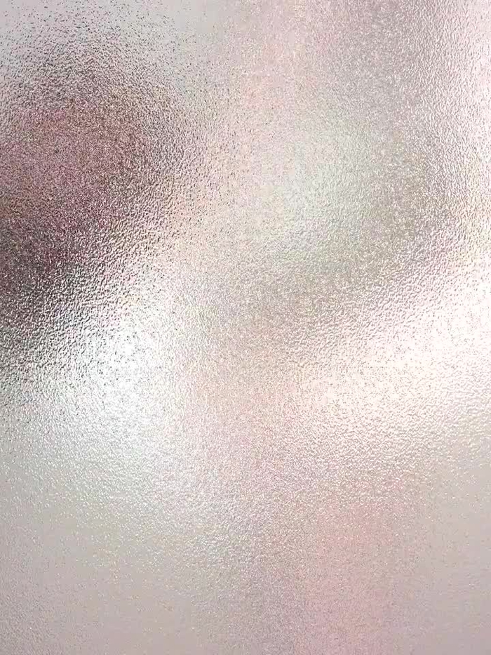 西村ニーナ 19