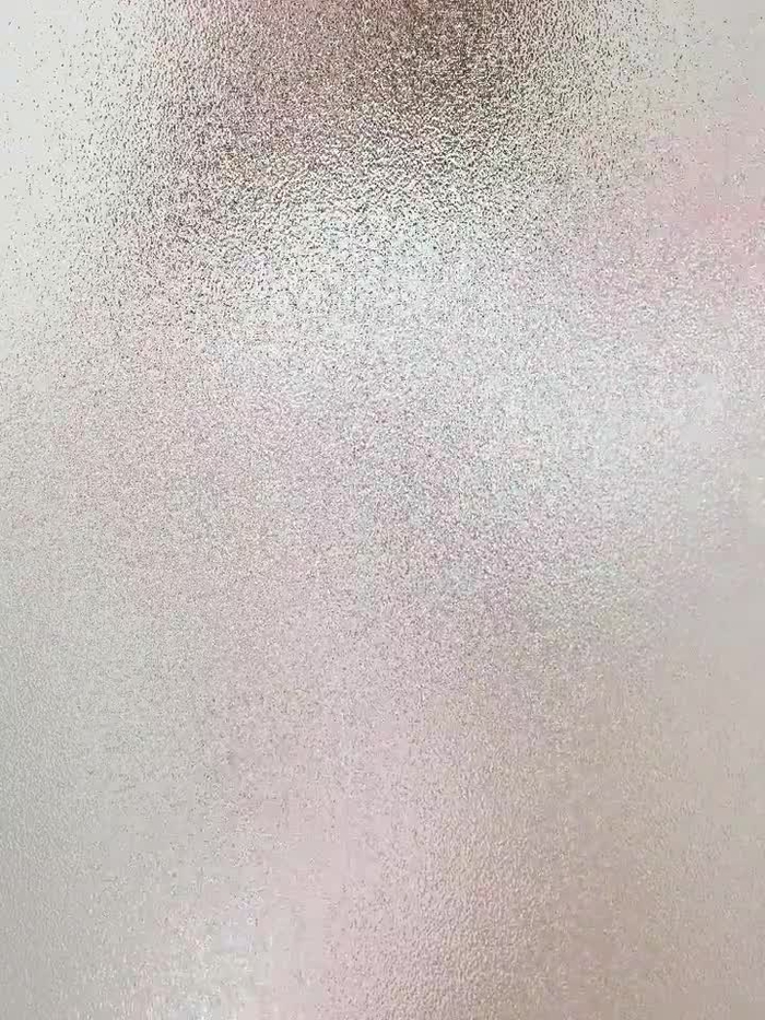 西村ニーナ 14