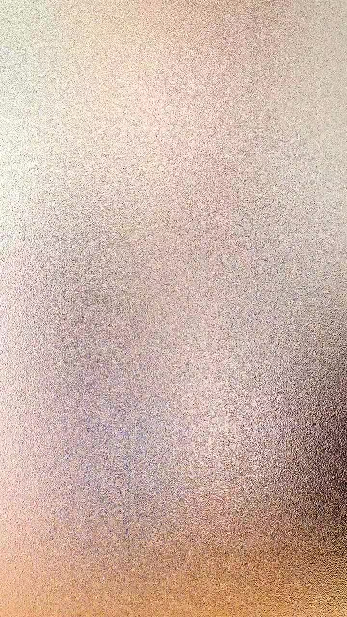 西村ニーナ 6