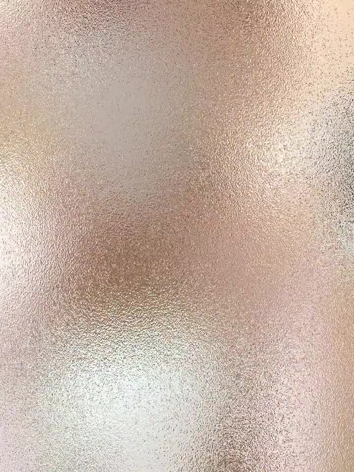 西村ニーナ 1