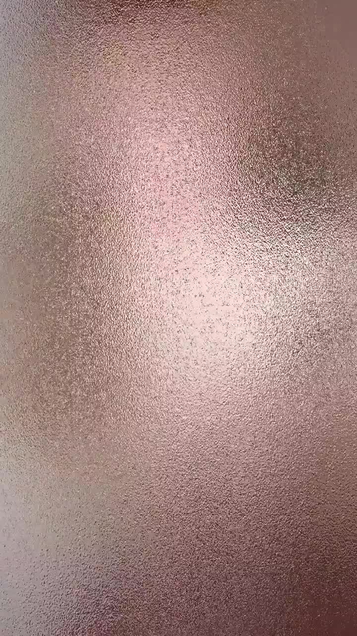 西村ニーナ 18