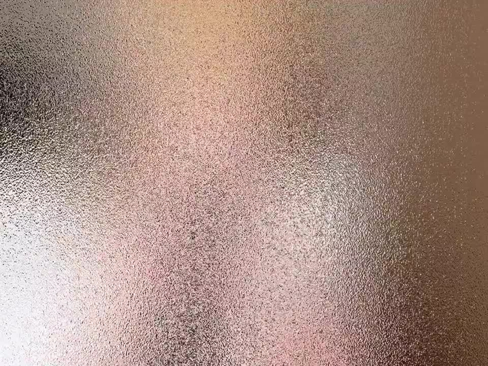西村ニーナ 12