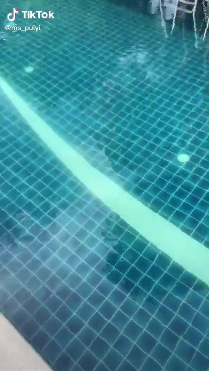 ms_puiyi 163