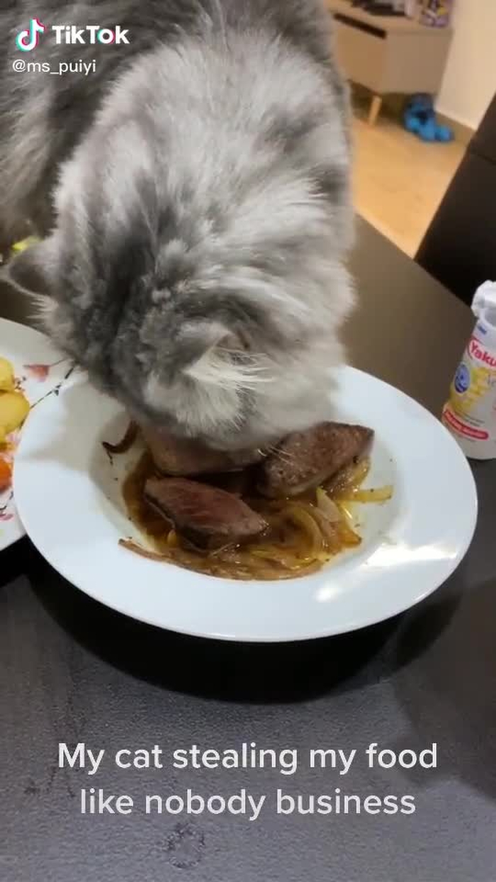 ms_puiyi 169