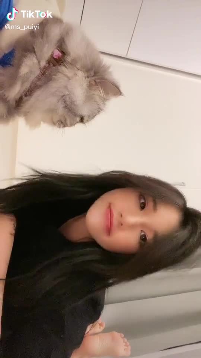 ms_puiyi 292