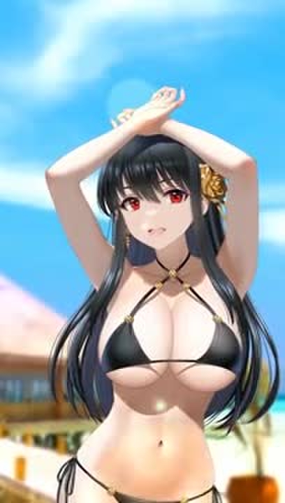 Yor beach Missionary X-ray ver【Consome】